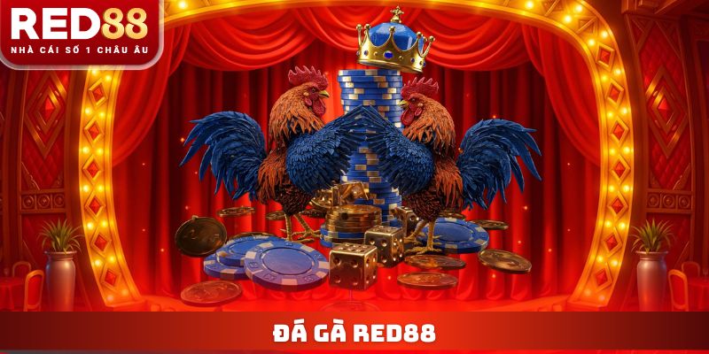 Trang chủ 18 Đá gà Red88