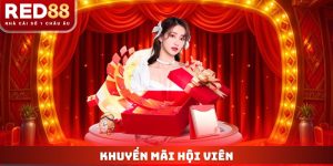 Khuyến Mãi Hội Viên